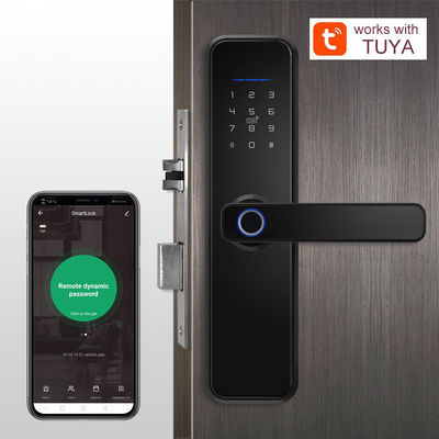 Fermeture de porte intelligente Tuya électronique numérique